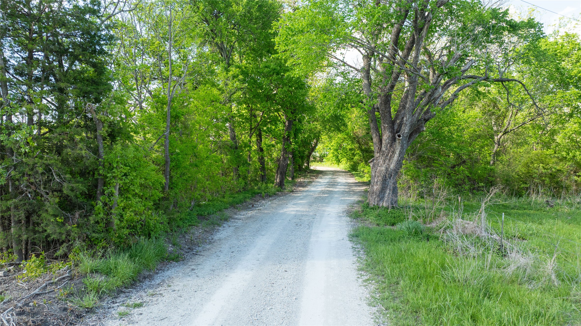 Tbd Lot 1 Cr 26150 Roxton TX 75477