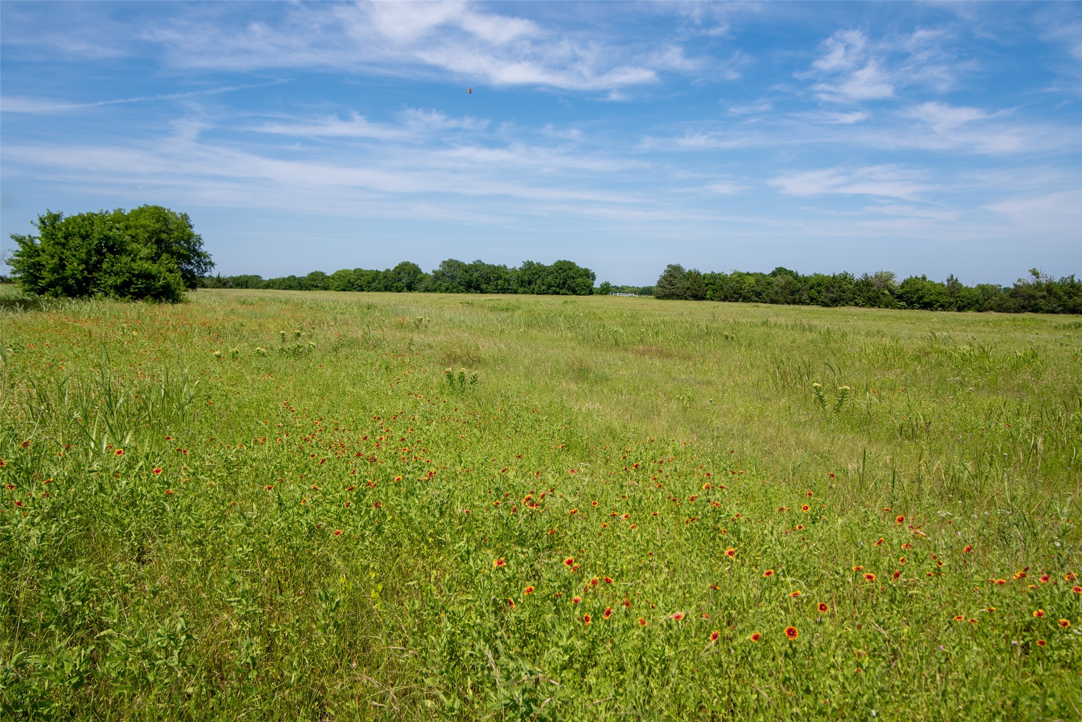 Acres 31.062 Ballard Road Van Alstyne TX 75495