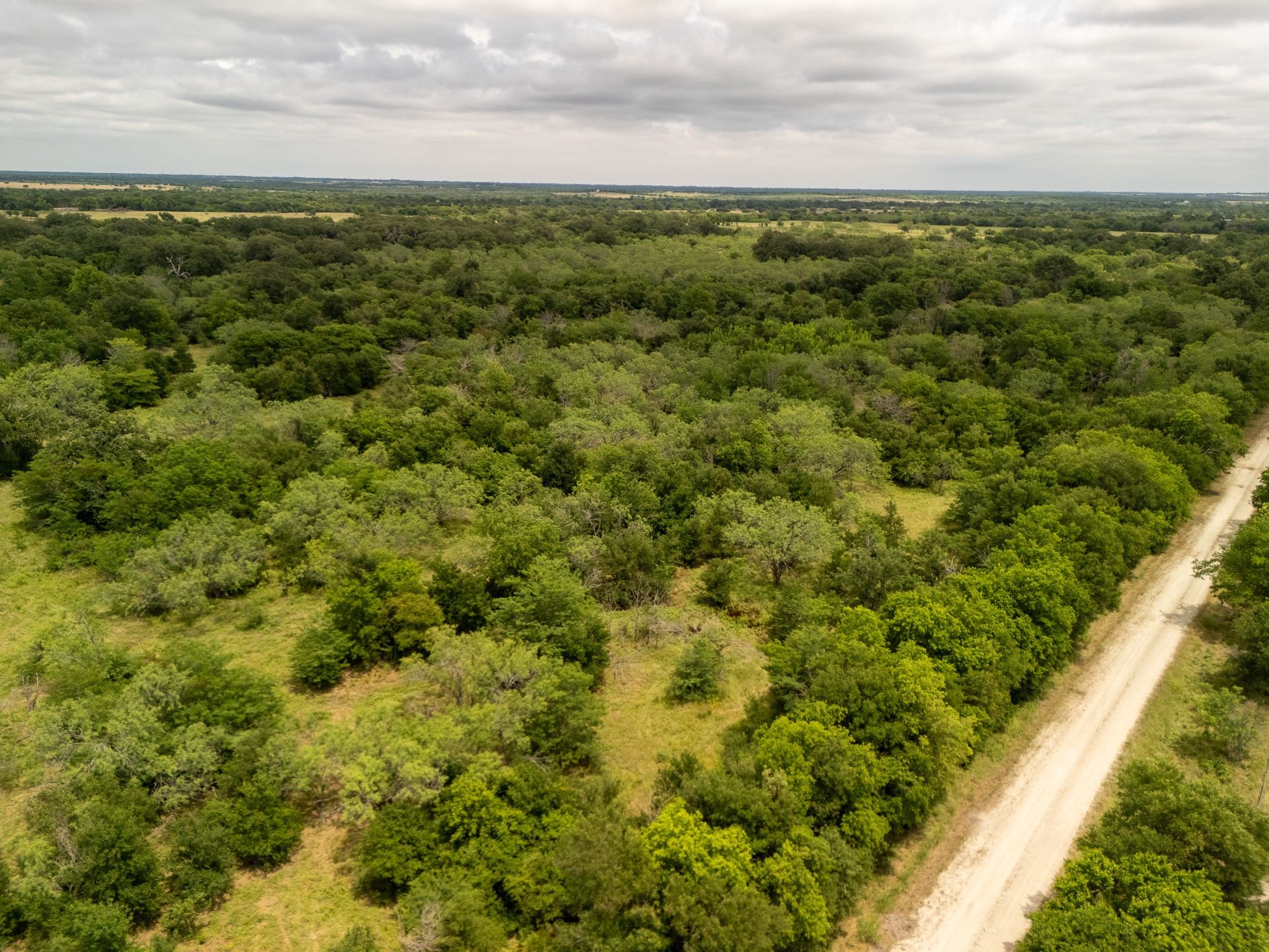 Tract 2 County Road 159 Riesel TX 76682