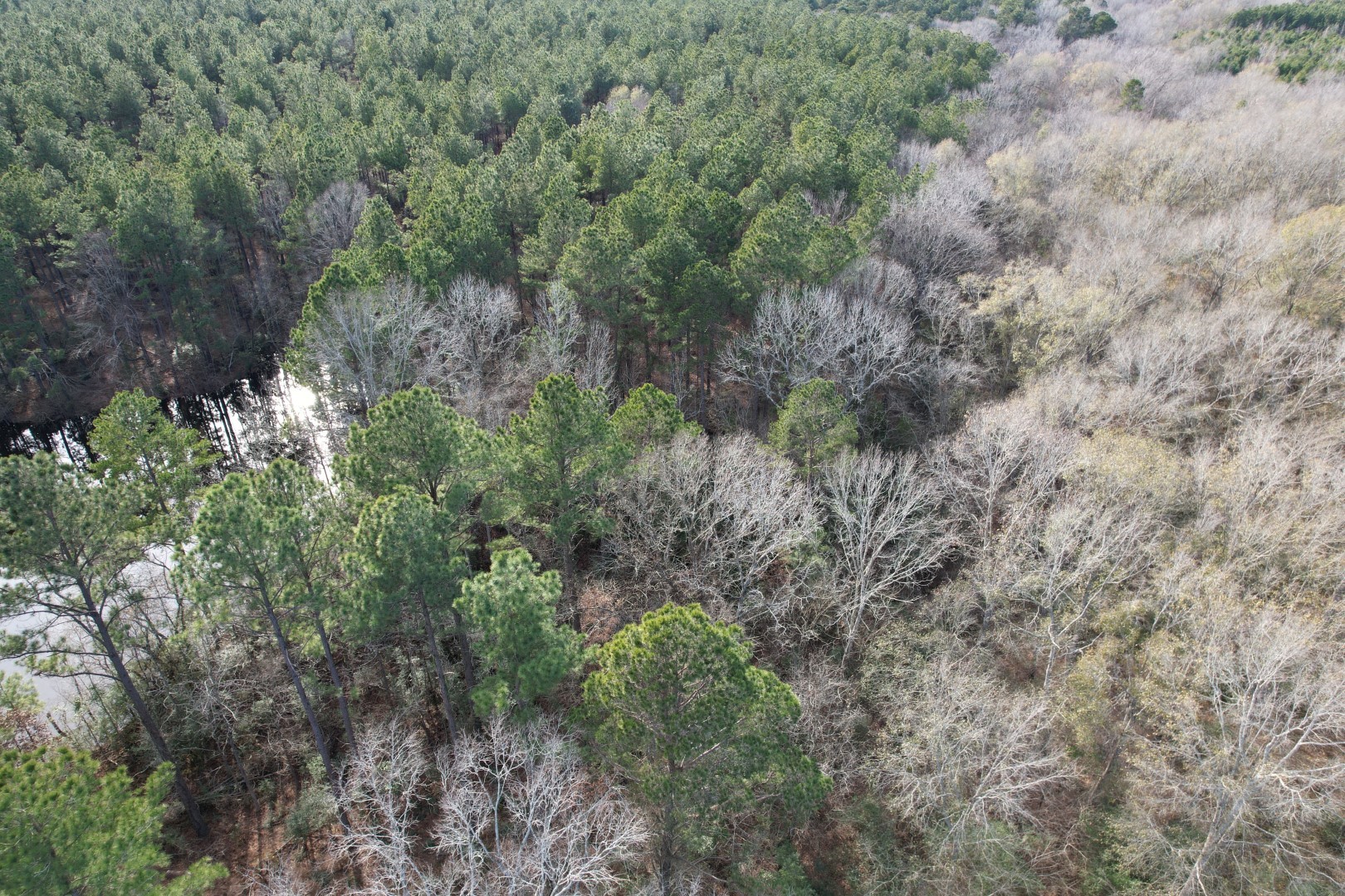 Tract C County Road 4037 Timpson TX 75975