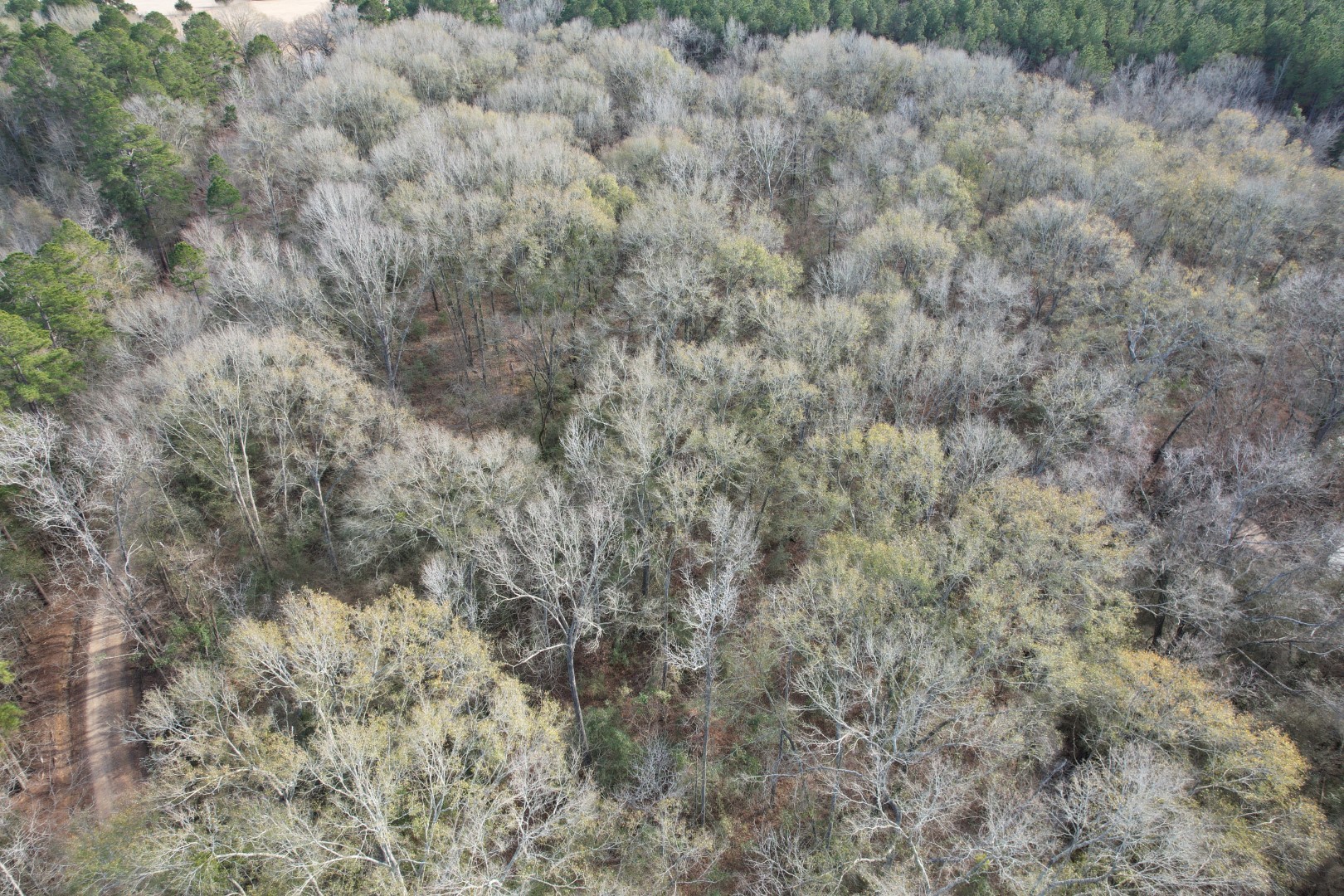 Tract C County Road 4037 Timpson TX 75975