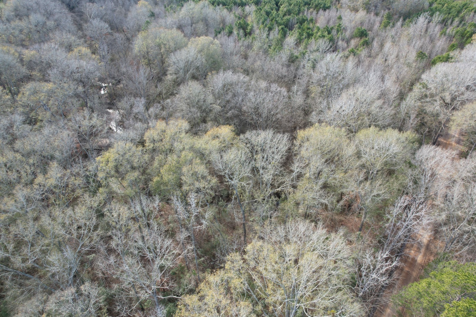 Tract C County Road 4037 Timpson TX 75975