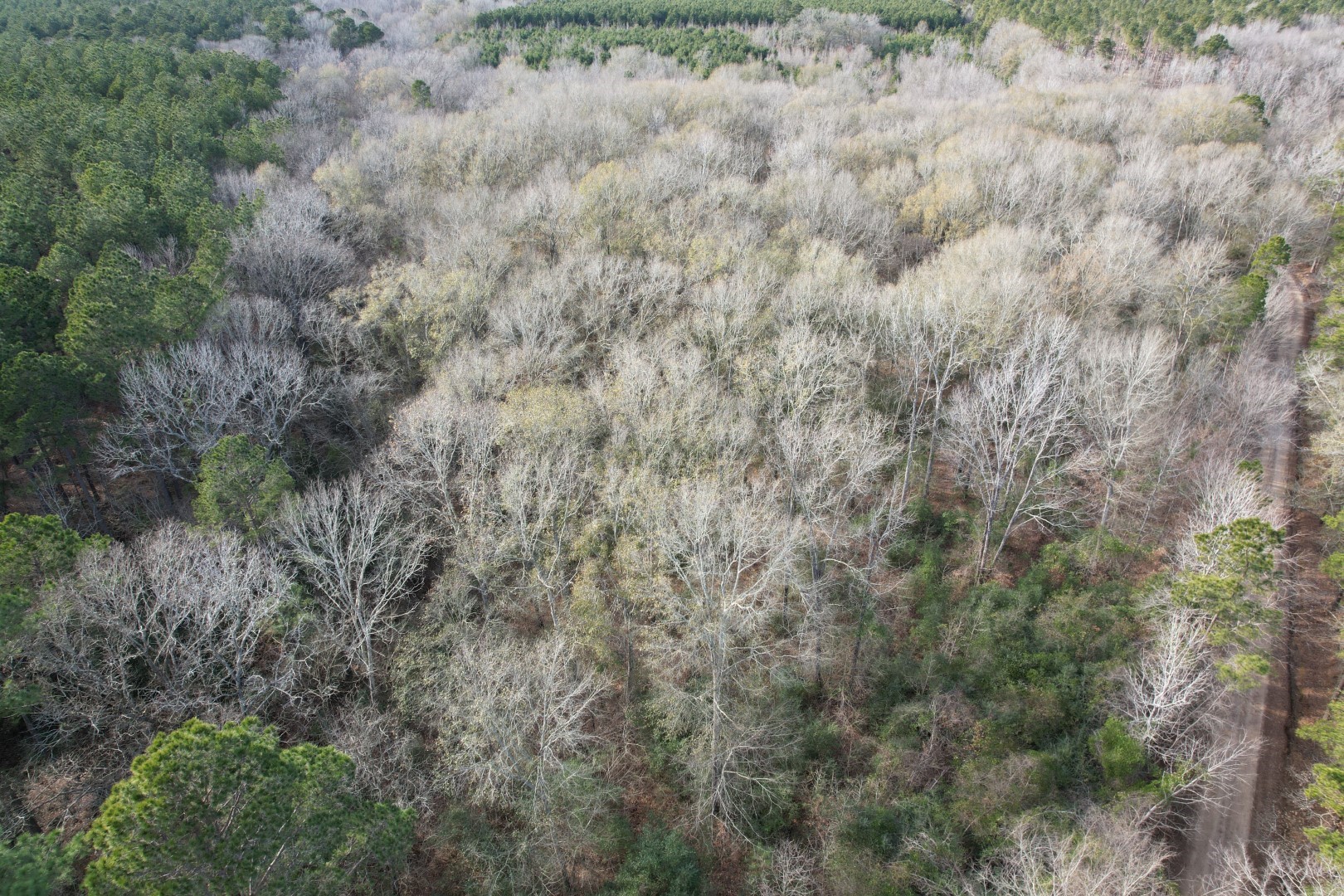 Tract C County Road 4037 Timpson TX 75975