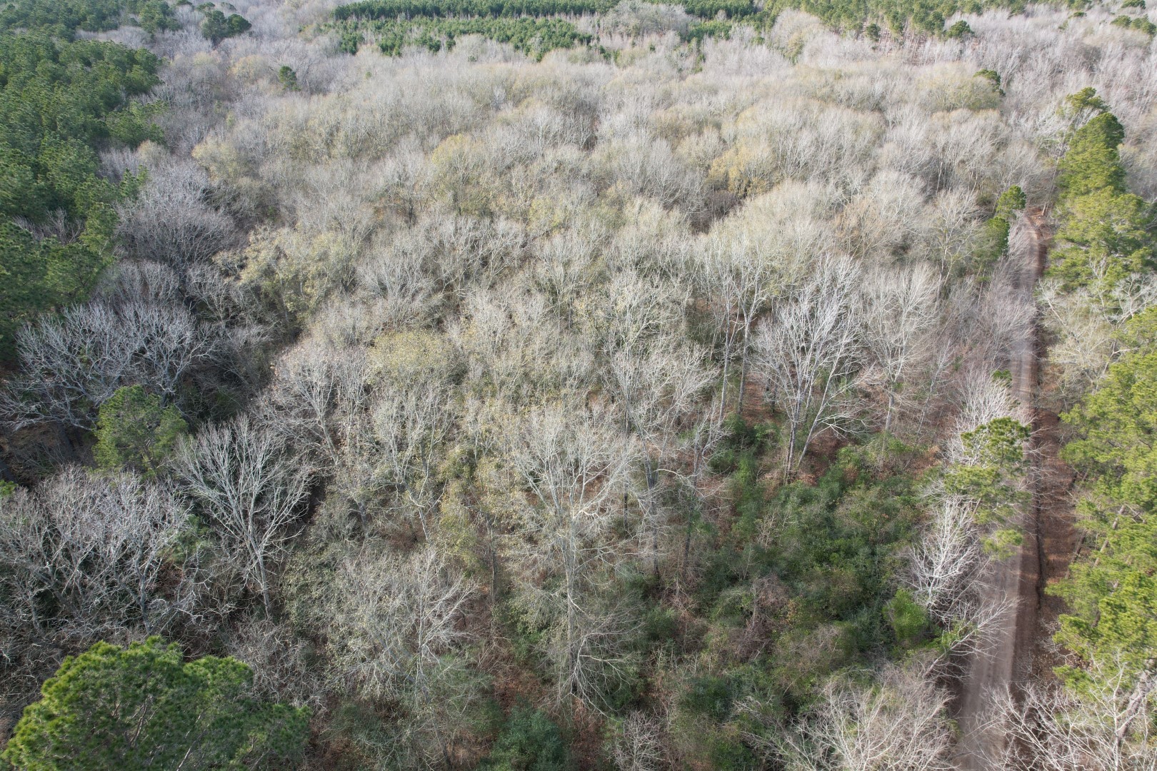 Tract C County Road 4037 Timpson TX 75975