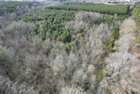 Tract C County Road 4037 Timpson TX 75975