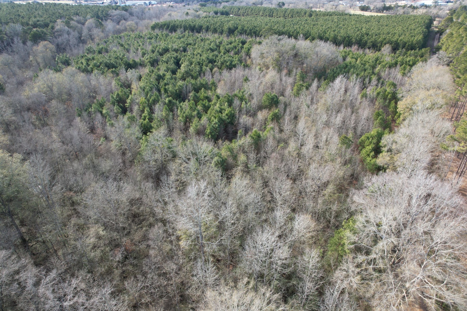 Tract C County Road 4037 Timpson TX 75975