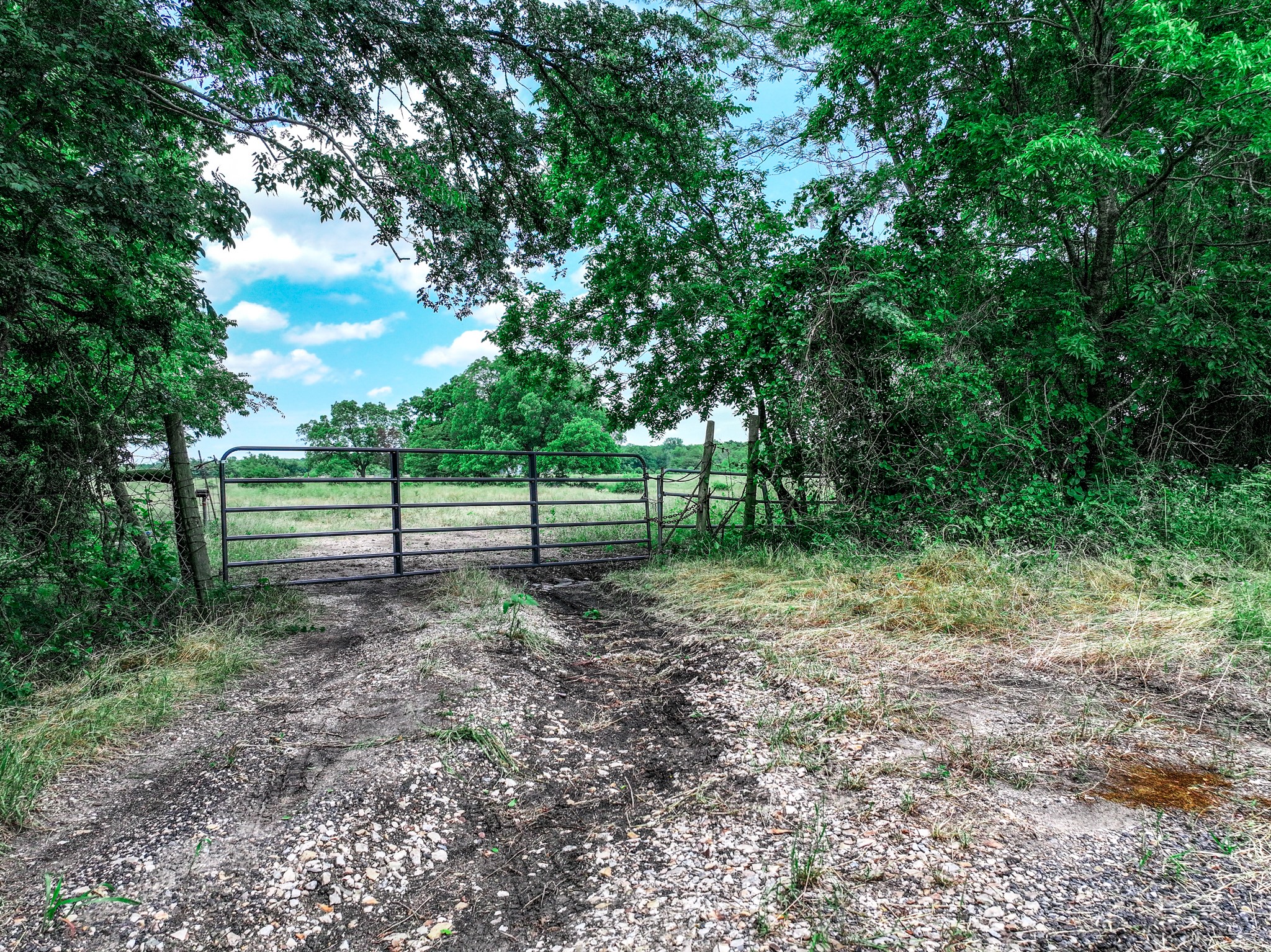 66.682 Acres County Road 2190 Commerce TX 75428