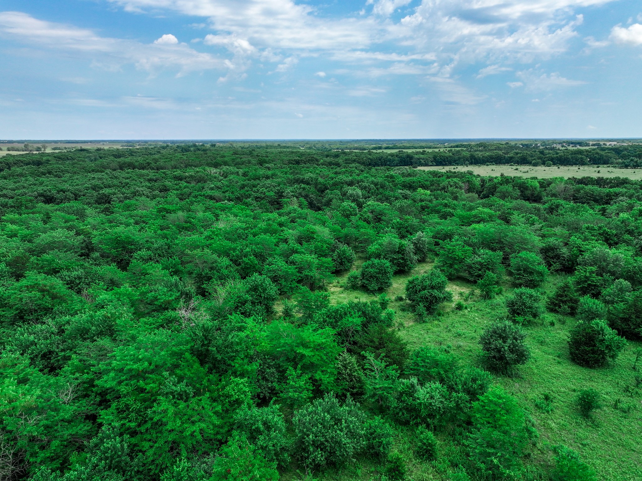 66.682 Acres County Road 2190 Commerce TX 75428