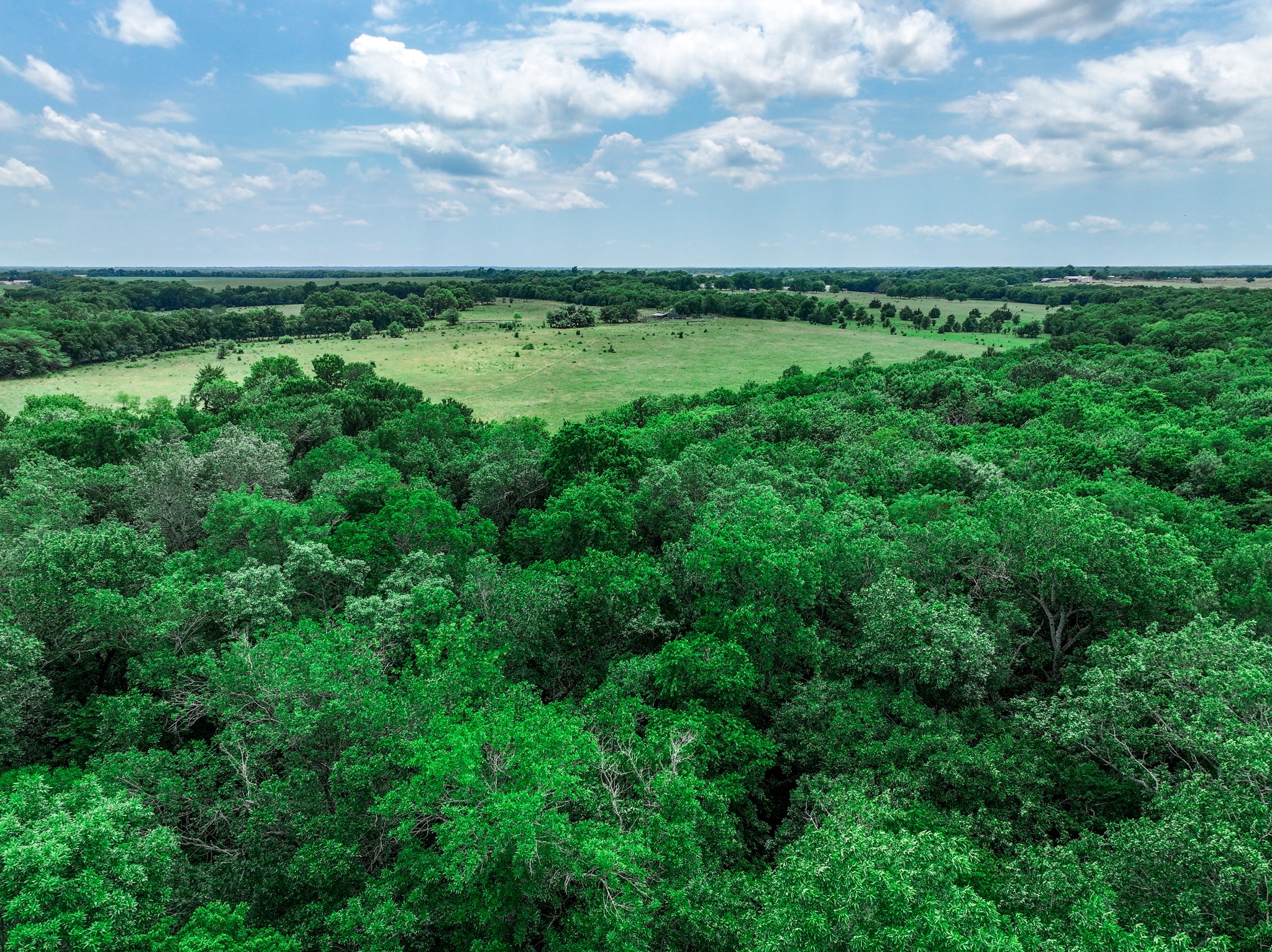 66.682 Acres County Road 2190 Commerce TX 75428