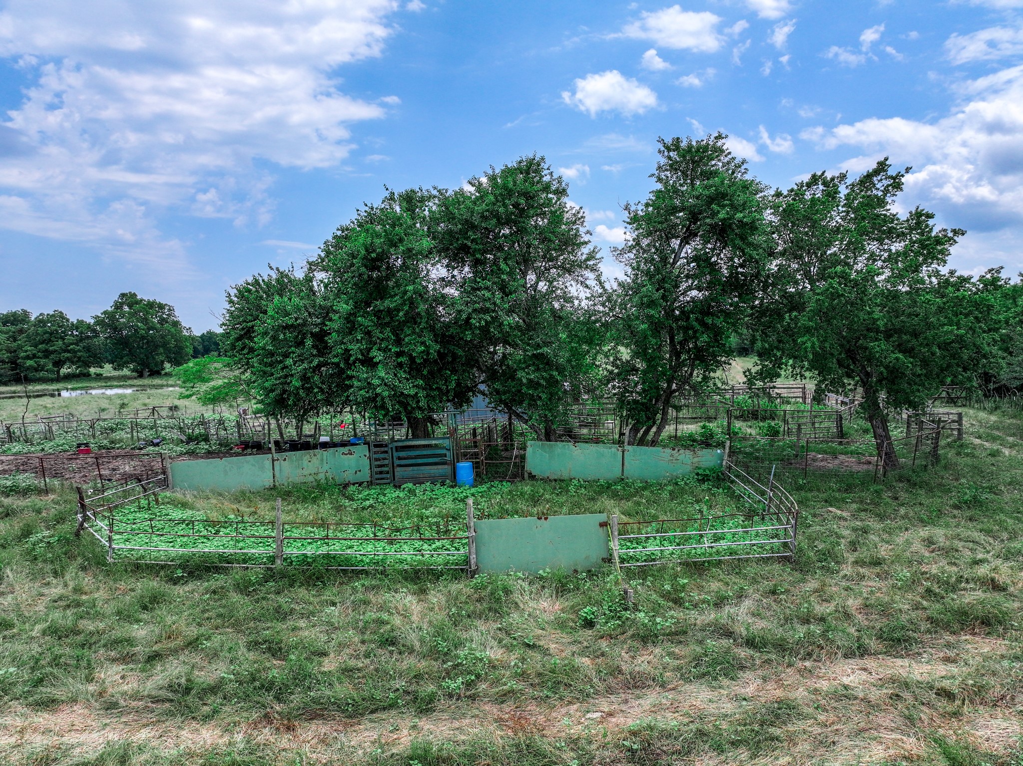 66.682 Acres County Road 2190 Commerce TX 75428
