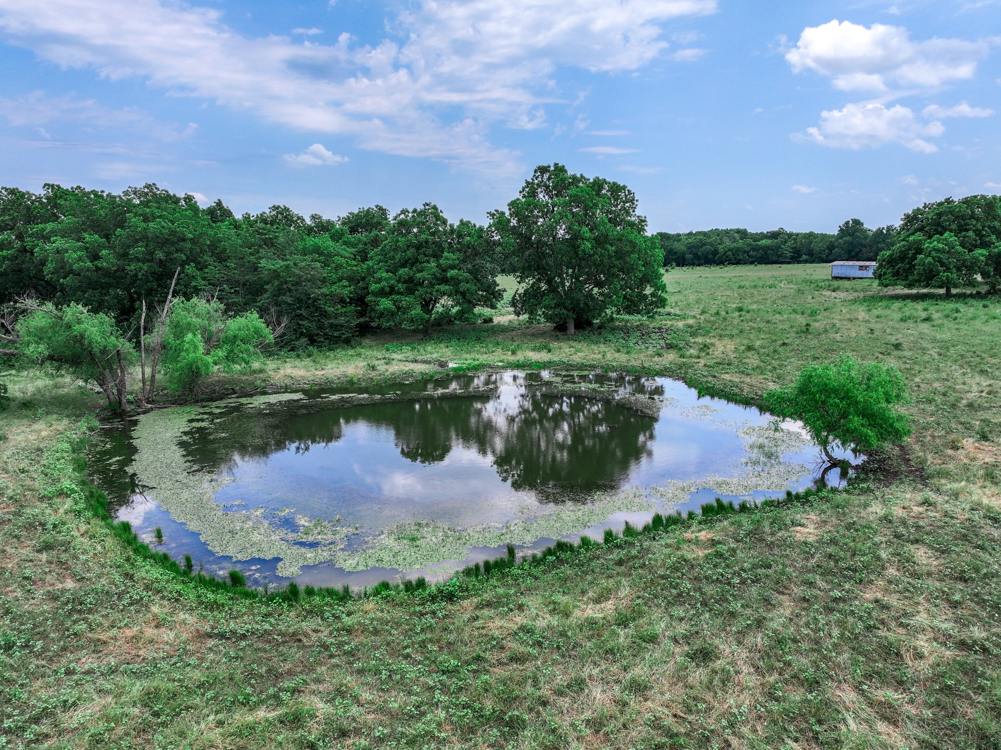 66.682 Acres County Road 2190 Commerce TX 75428