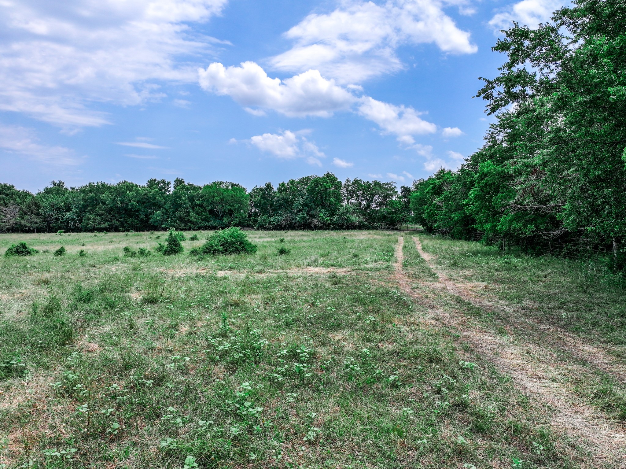 66.682 Acres County Road 2190 Commerce TX 75428