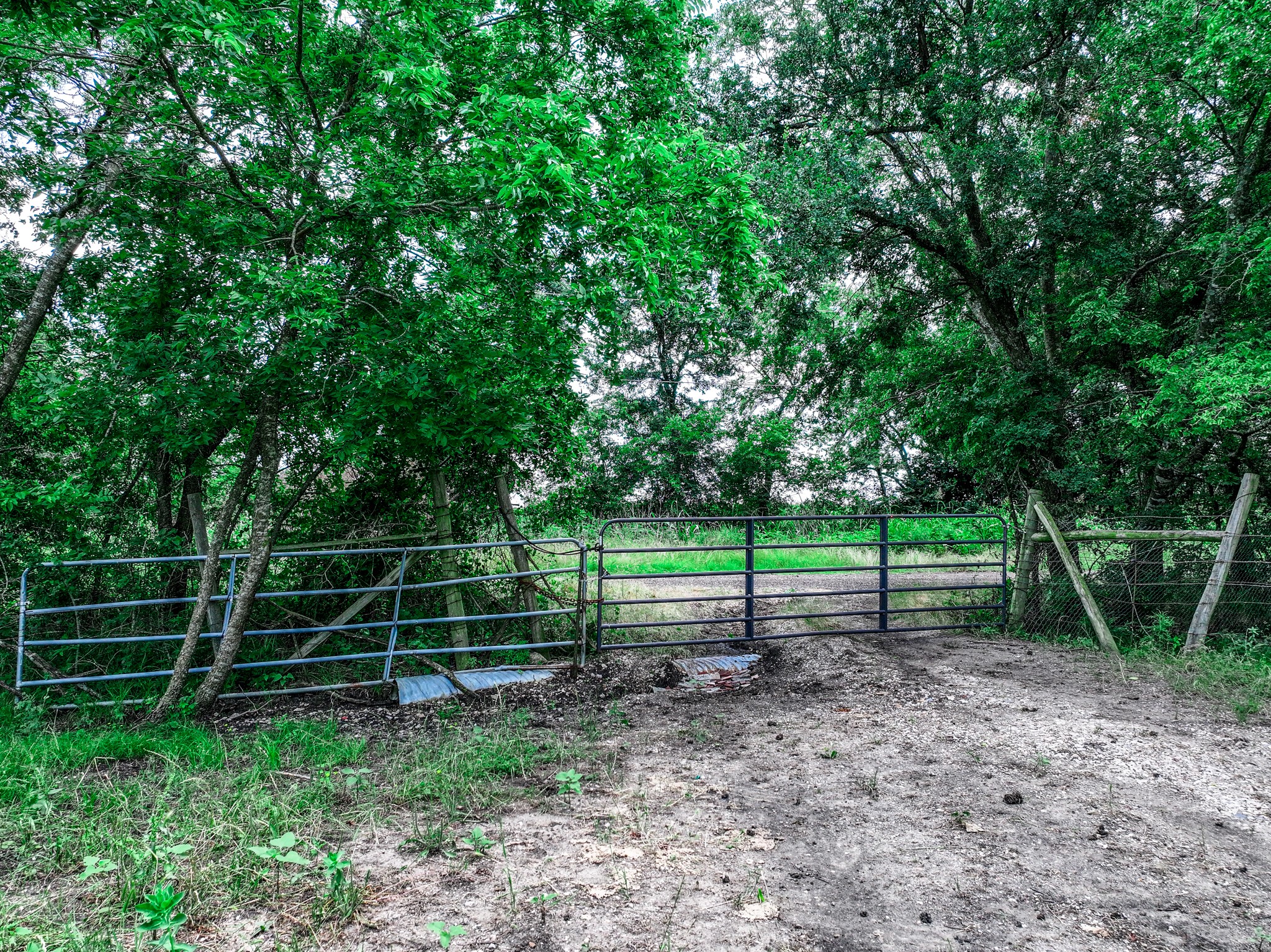 66.682 Acres County Road 2190 Commerce TX 75428