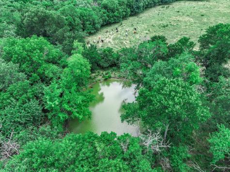 66.682 Acres County Road 2190 Commerce TX 75428