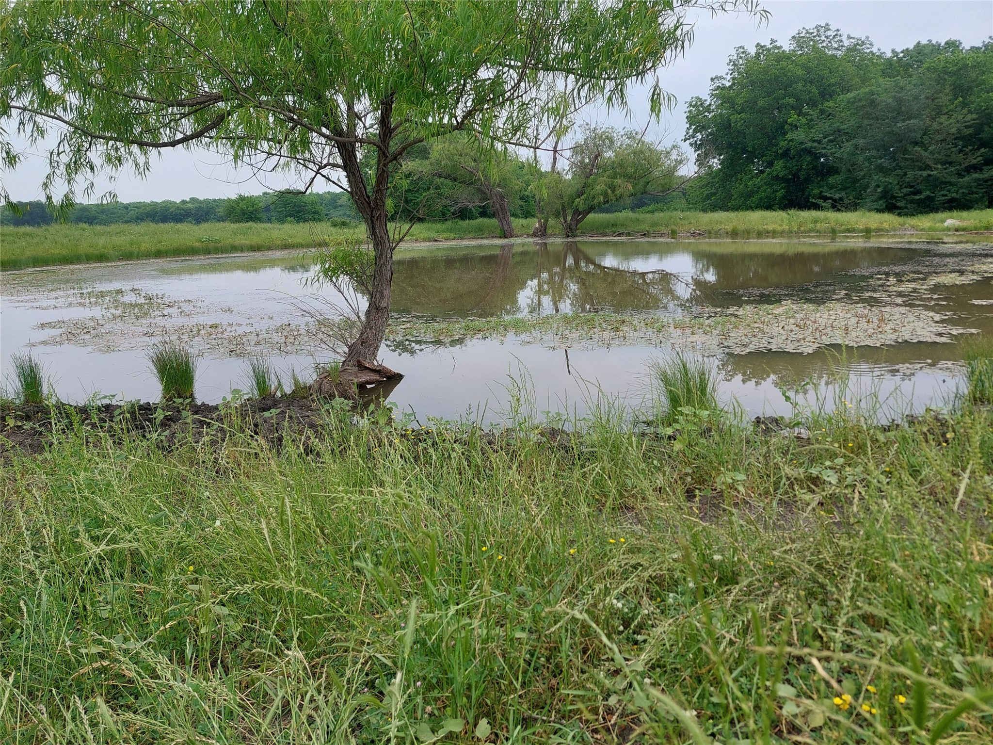66.682 Acres County Road 2190 Commerce TX 75428
