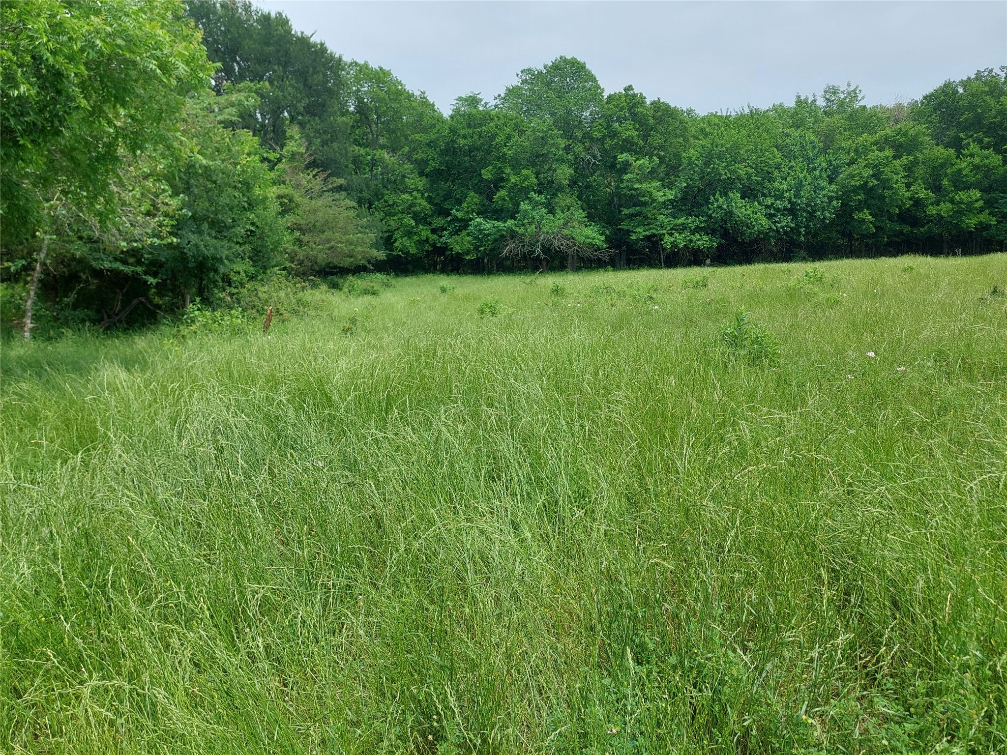 66.682 Acres County Road 2190 Commerce TX 75428