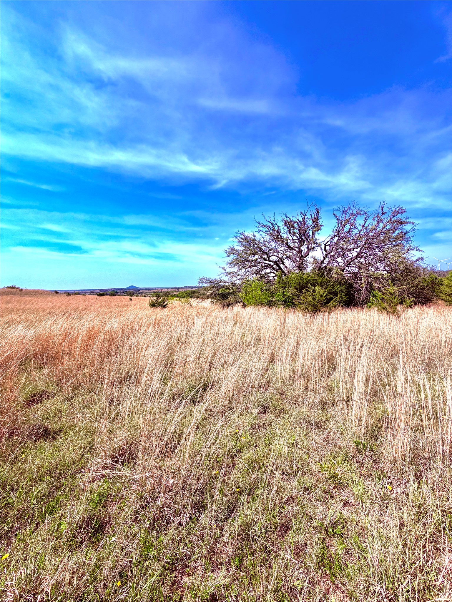 39 Cr 330 Goldthwaite TX 76844
