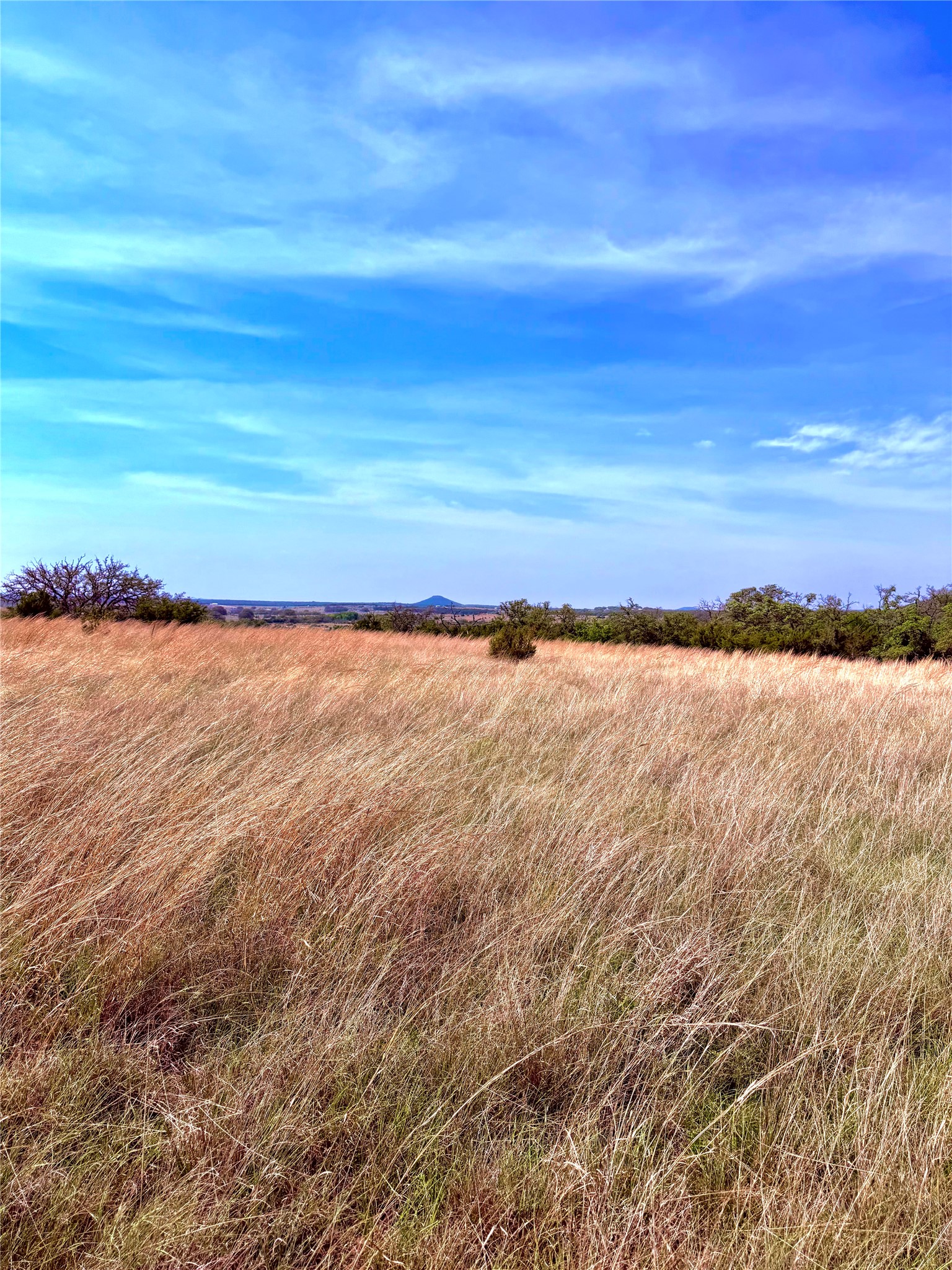 39 Cr 330 Goldthwaite TX 76844