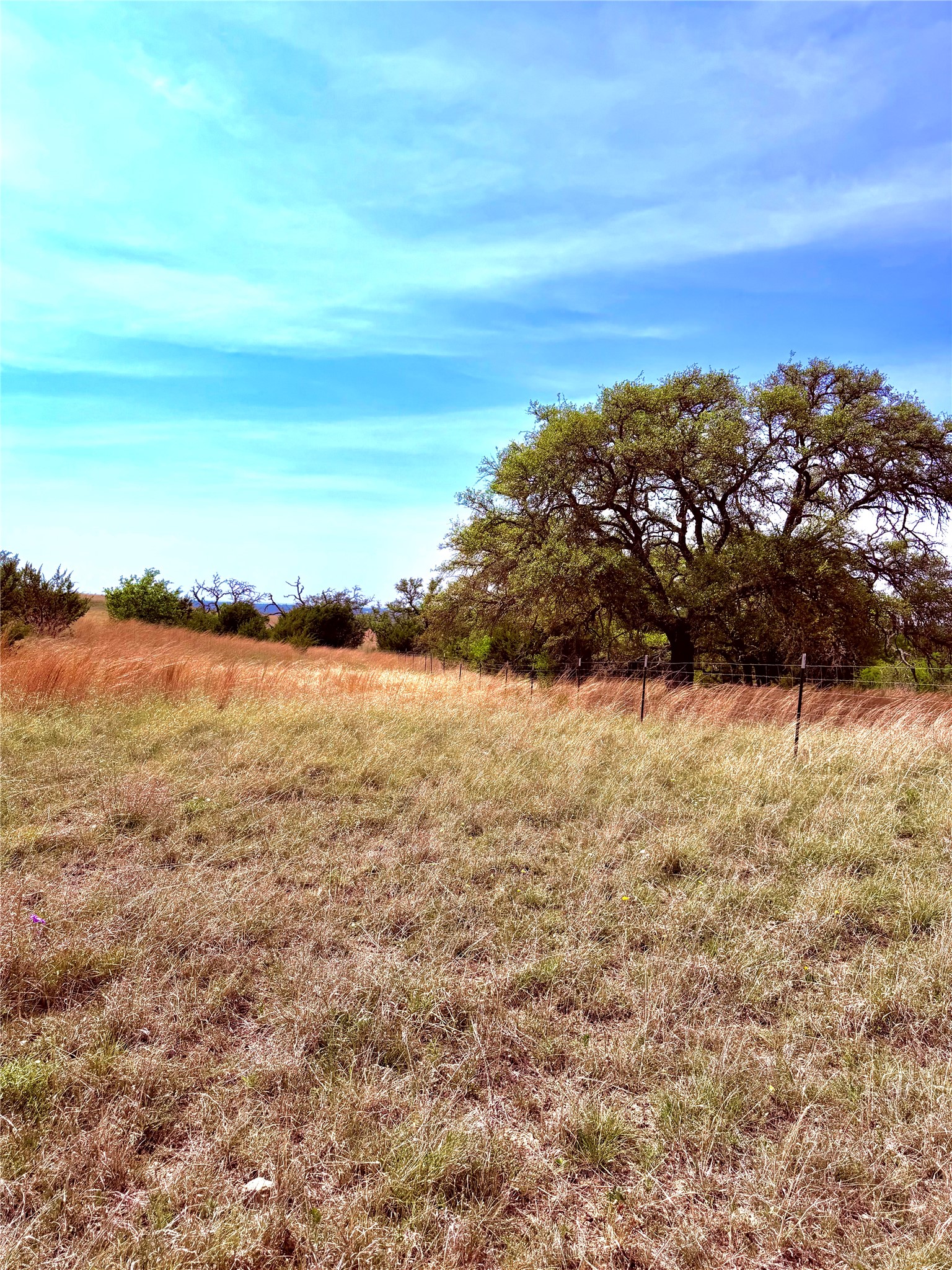 39 Cr 330 Goldthwaite TX 76844