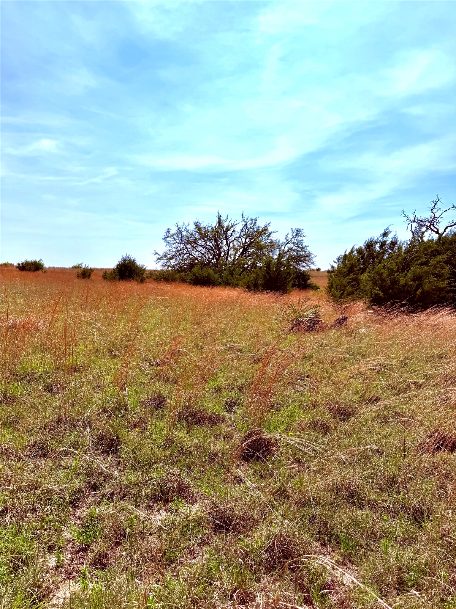39 Cr 330 Goldthwaite TX 76844