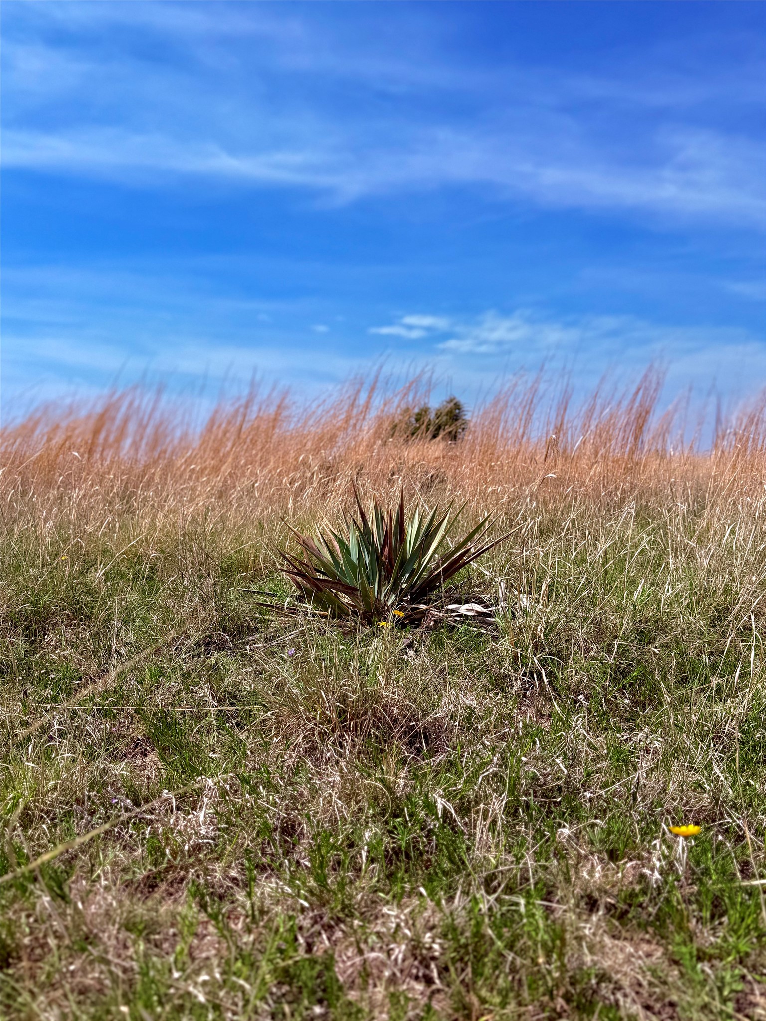 39 Cr 330 Goldthwaite TX 76844