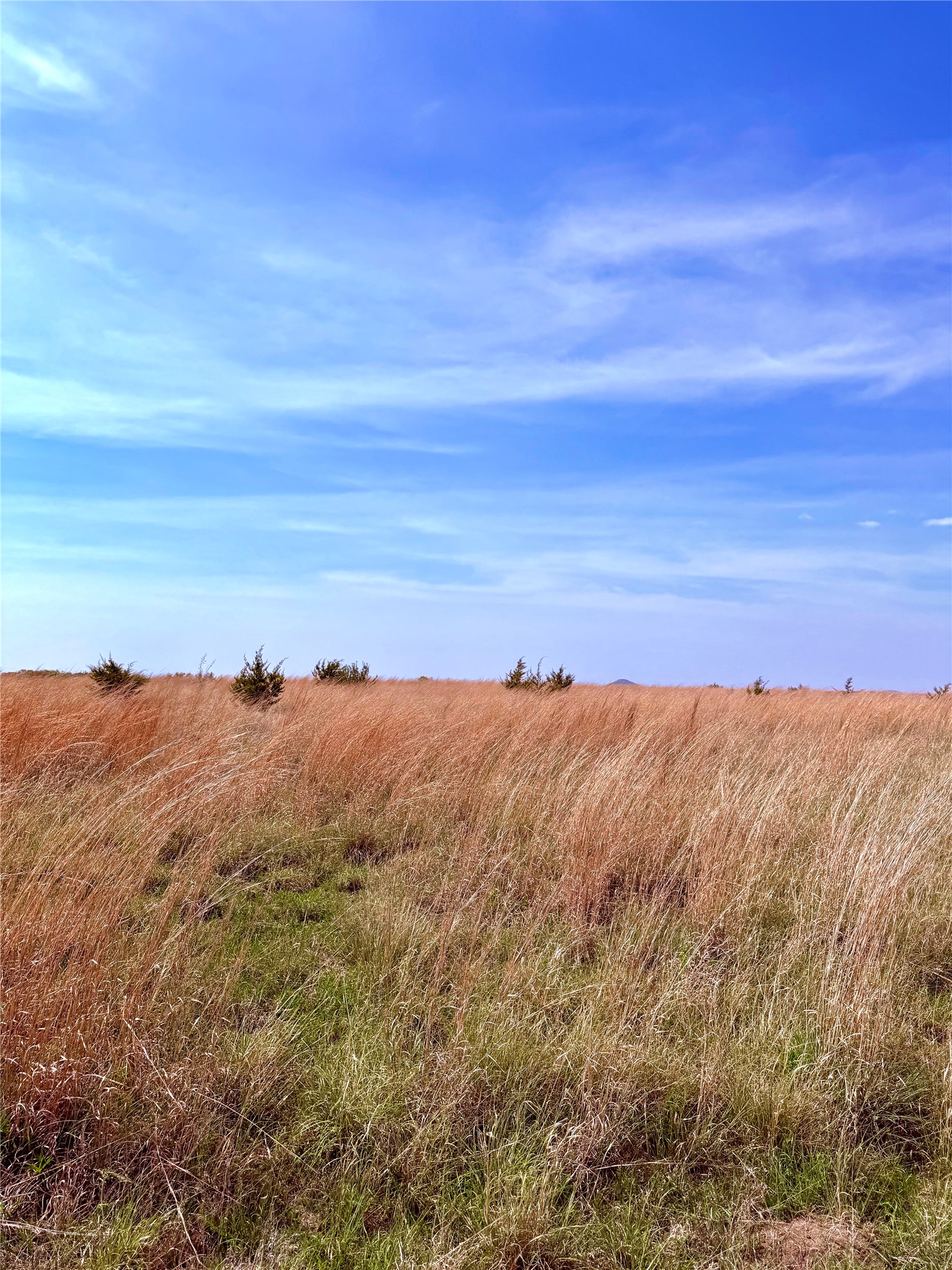 39 Cr 330 Goldthwaite TX 76844
