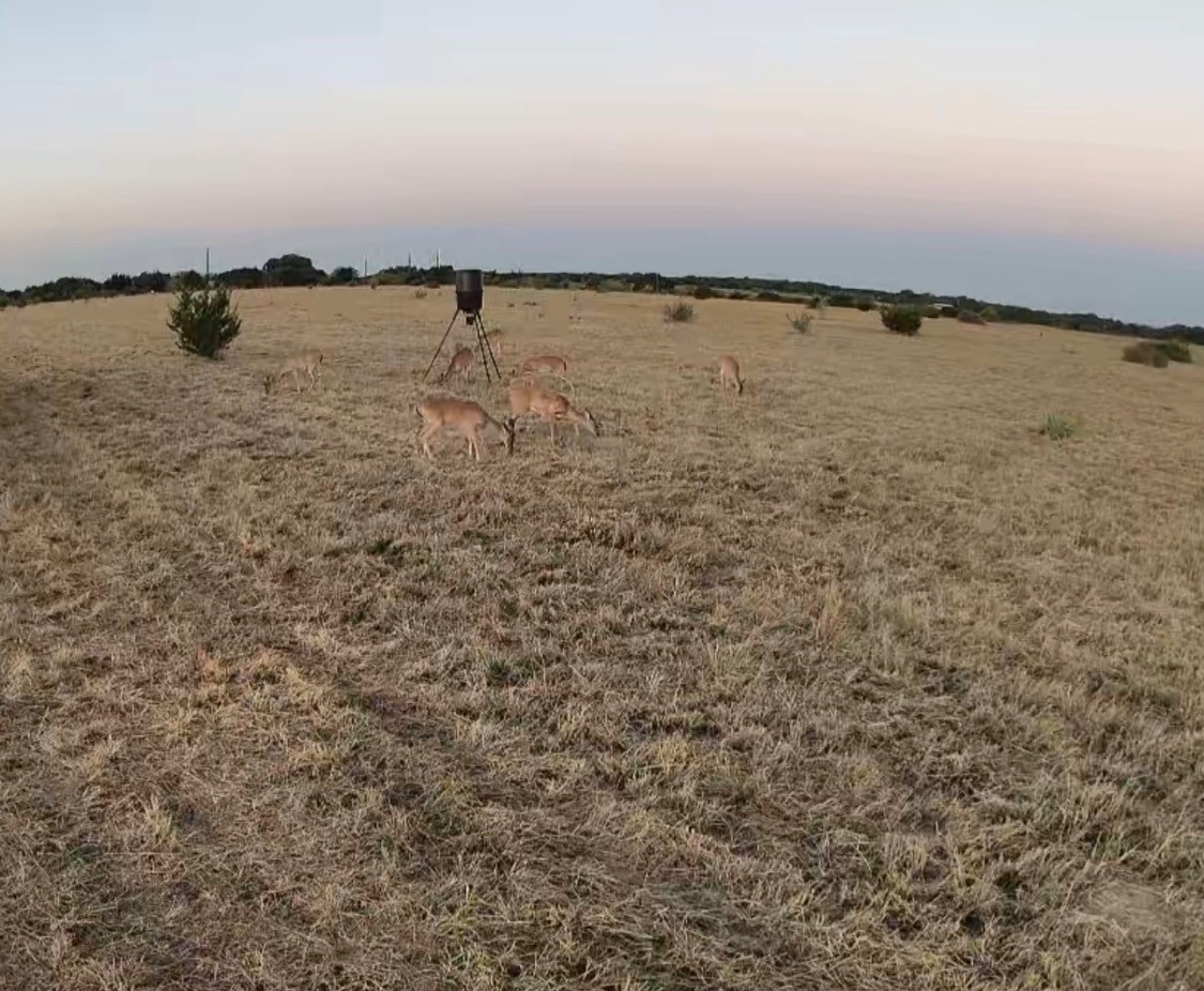 39 Cr 330 Goldthwaite TX 76844