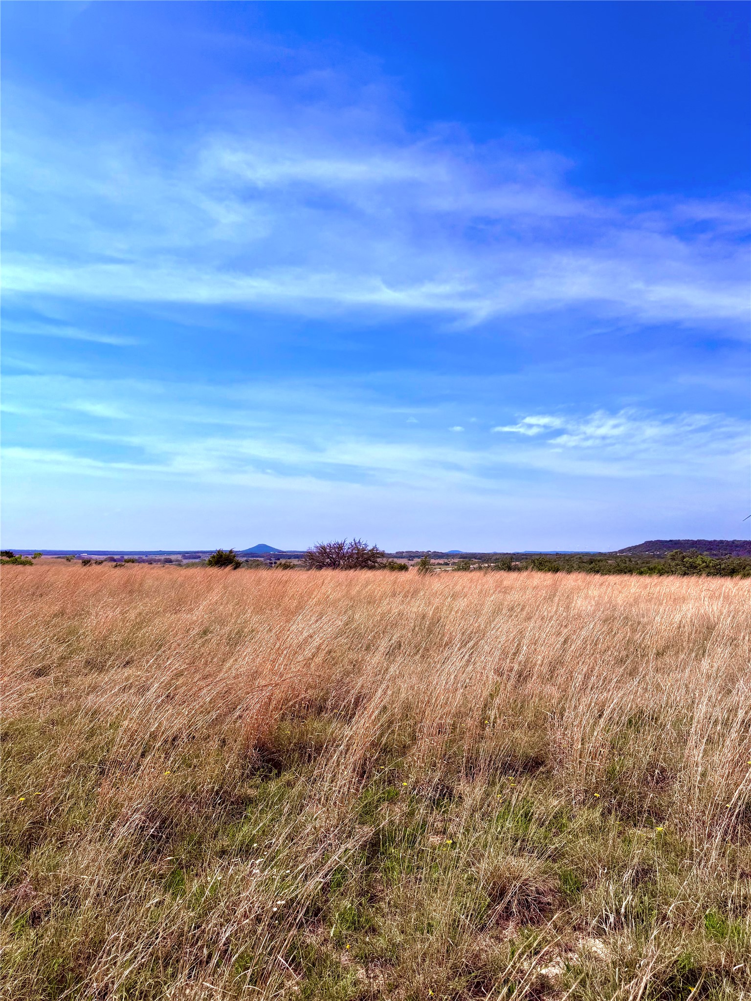 39 Cr 330 Goldthwaite TX 76844