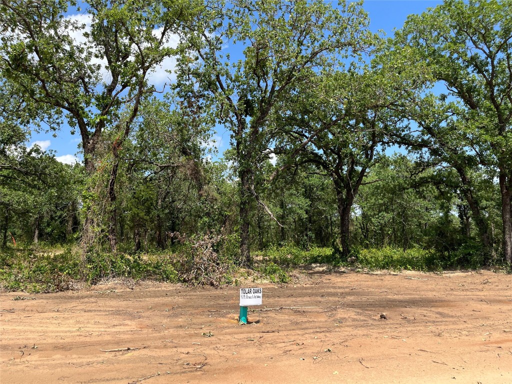 424 Peace Lily Way Tolar TX 76476
