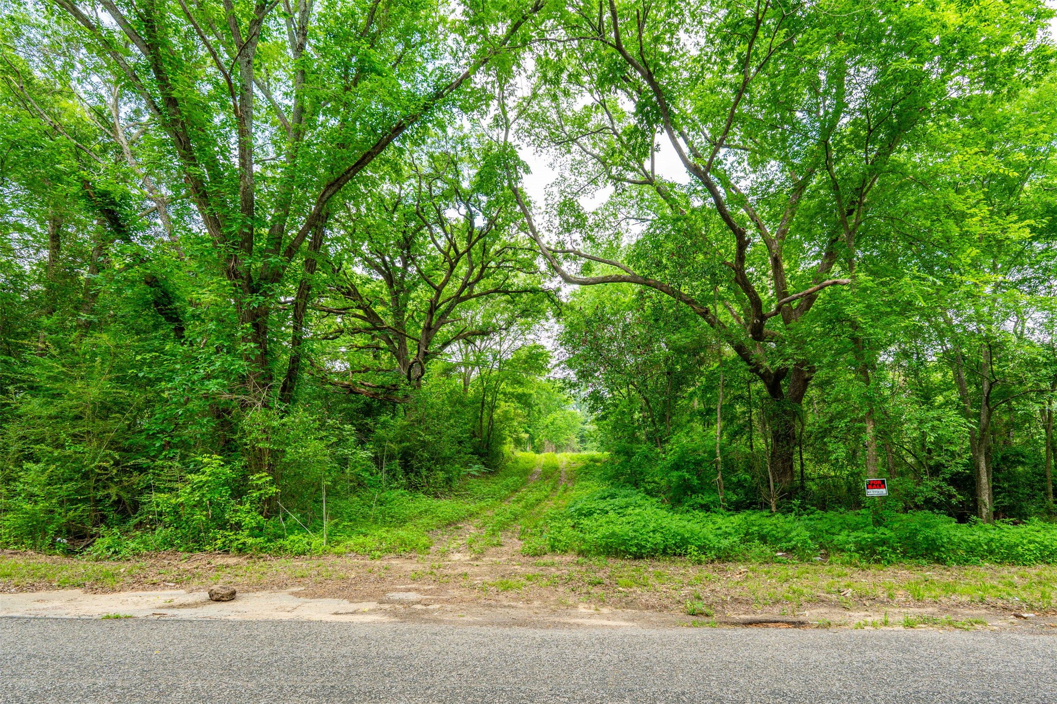 855 N Prairieville Street Athens TX 75751