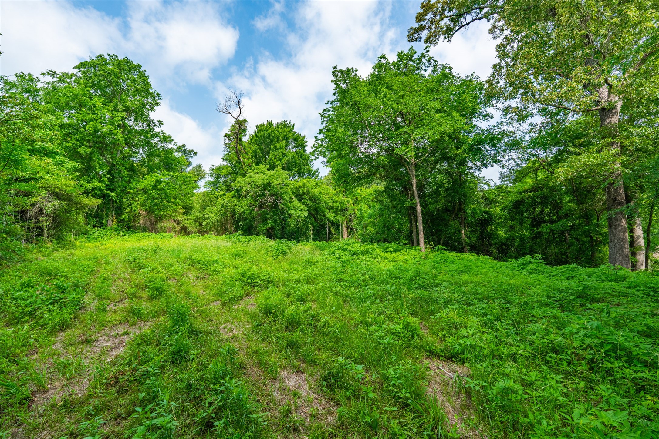 855 N Prairieville Street Athens TX 75751