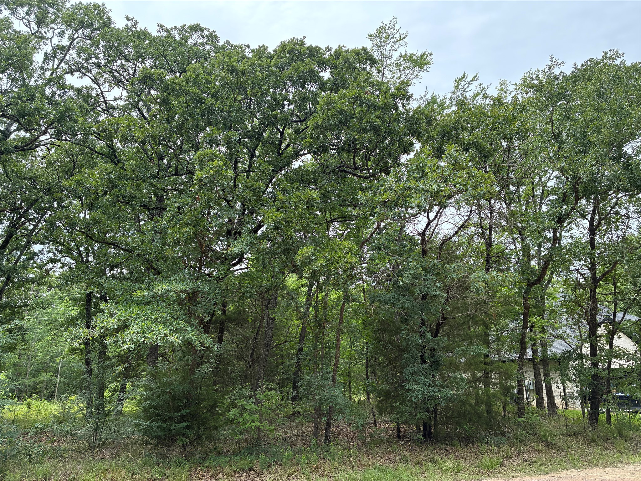 Tbd Drift Wood Drive Trinidad TX 75163