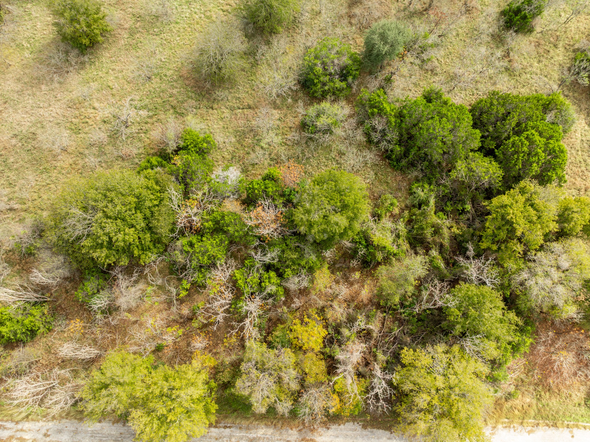 38070 Brookside Drive Whitney TX 76692