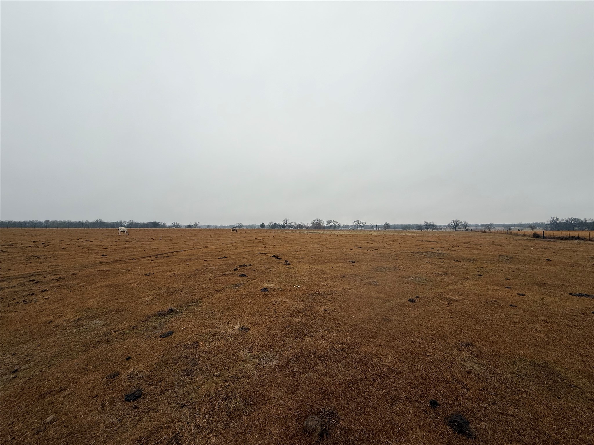 505 County Road 1442 Yantis TX 75497