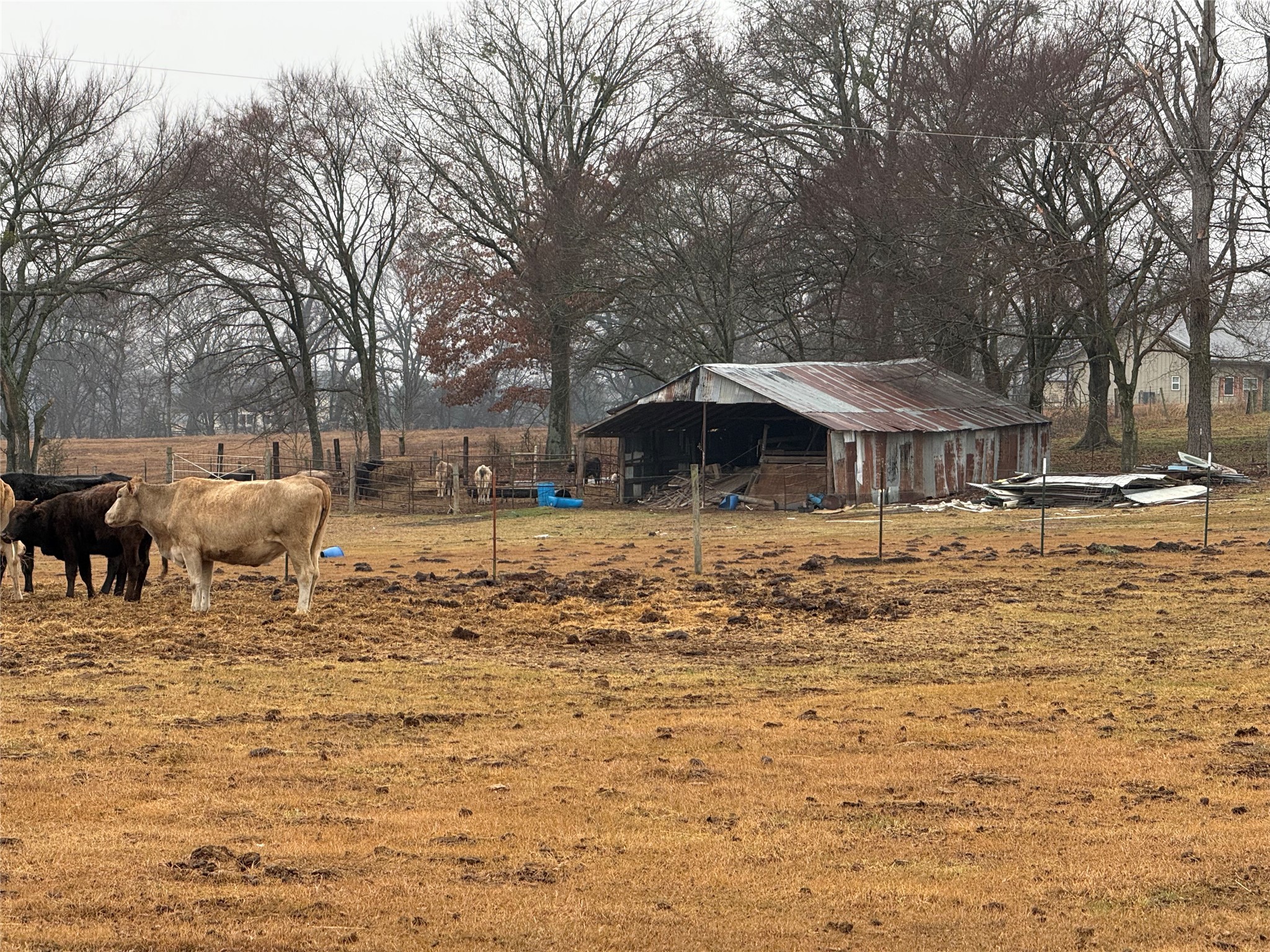 505 County Road 1442 Yantis TX 75497