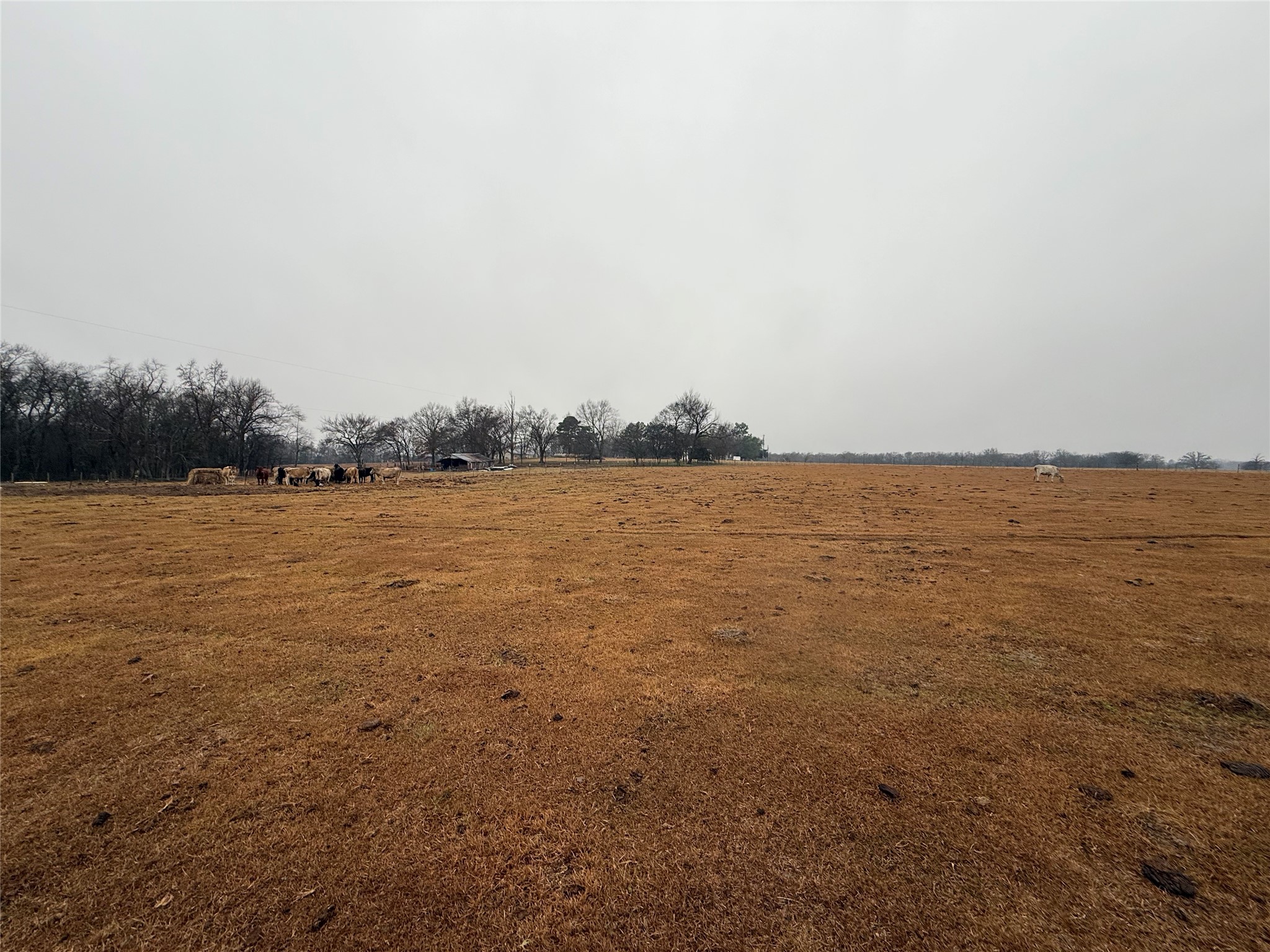 505 County Road 1442 Yantis TX 75497