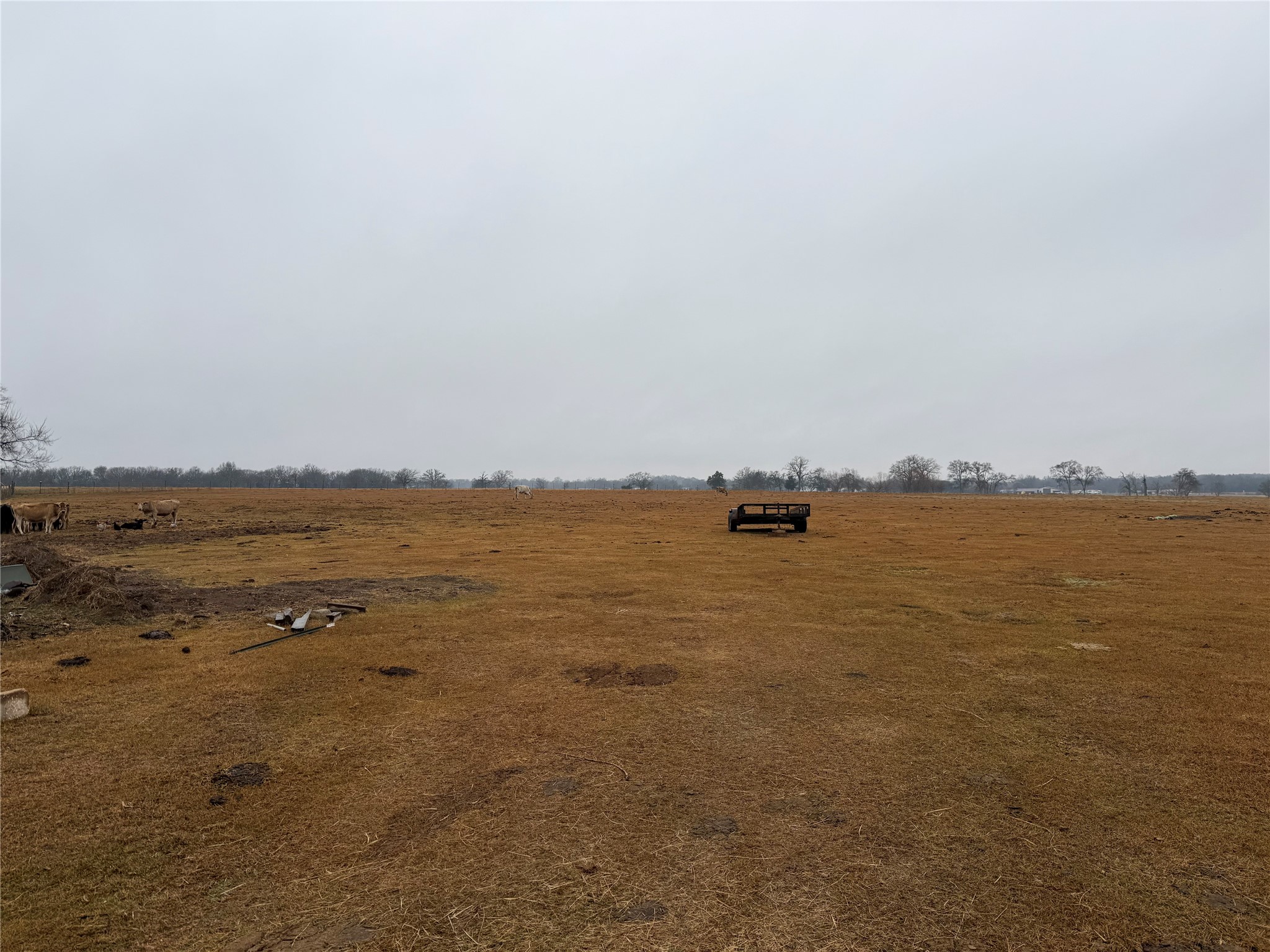 505 County Road 1442 Yantis TX 75497