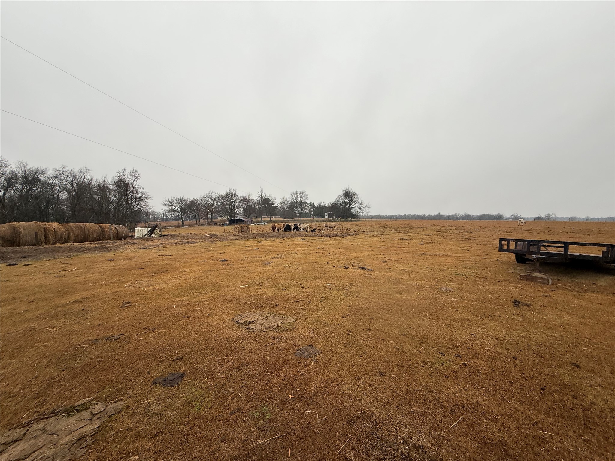 505 County Road 1442 Yantis TX 75497