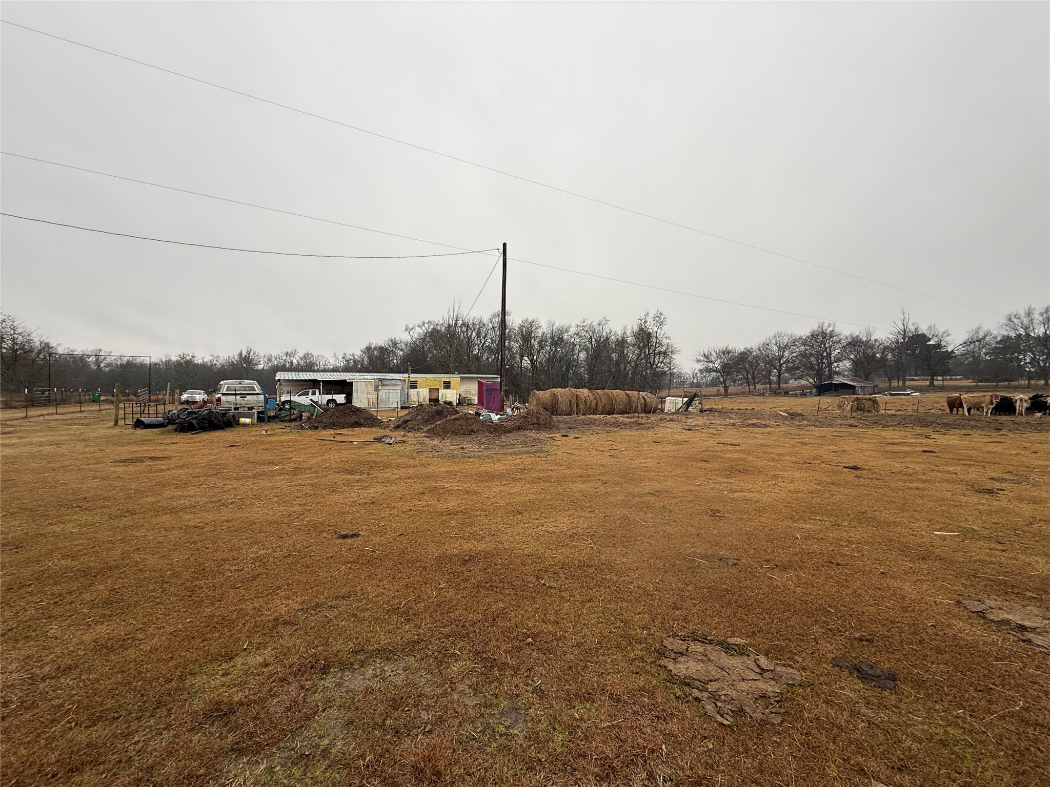 505 County Road 1442 Yantis TX 75497