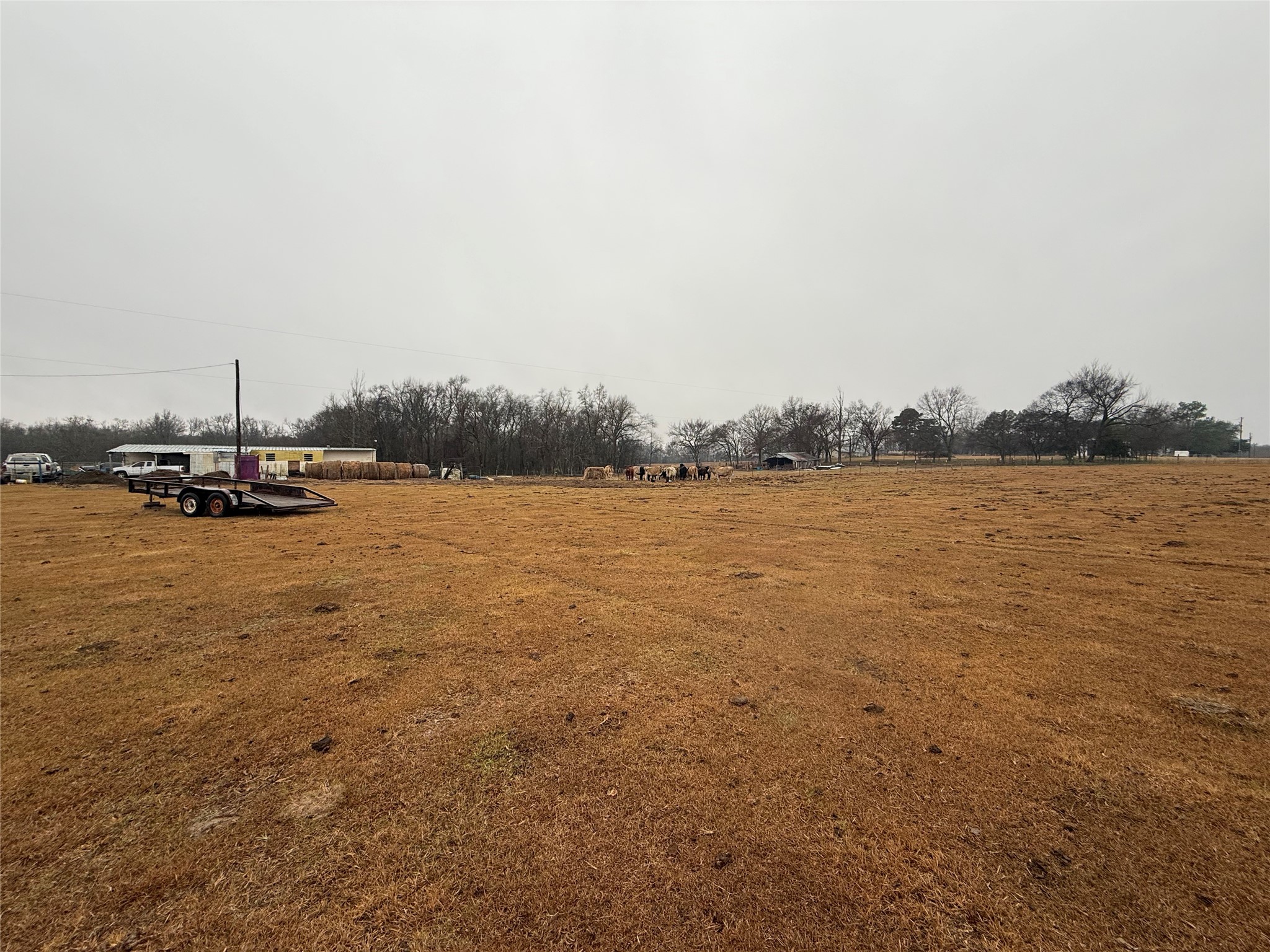 505 County Road 1442 Yantis TX 75497