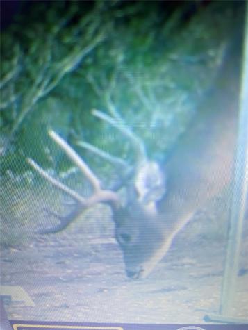 2975 N Fm 1702 Hamilton TX 76531