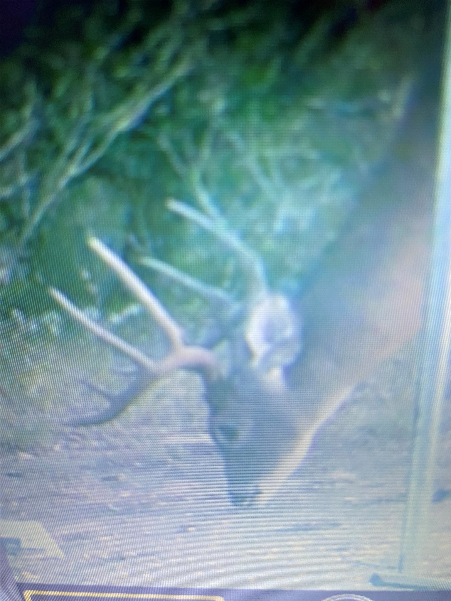 2975 N Fm 1702 Hamilton TX 76531