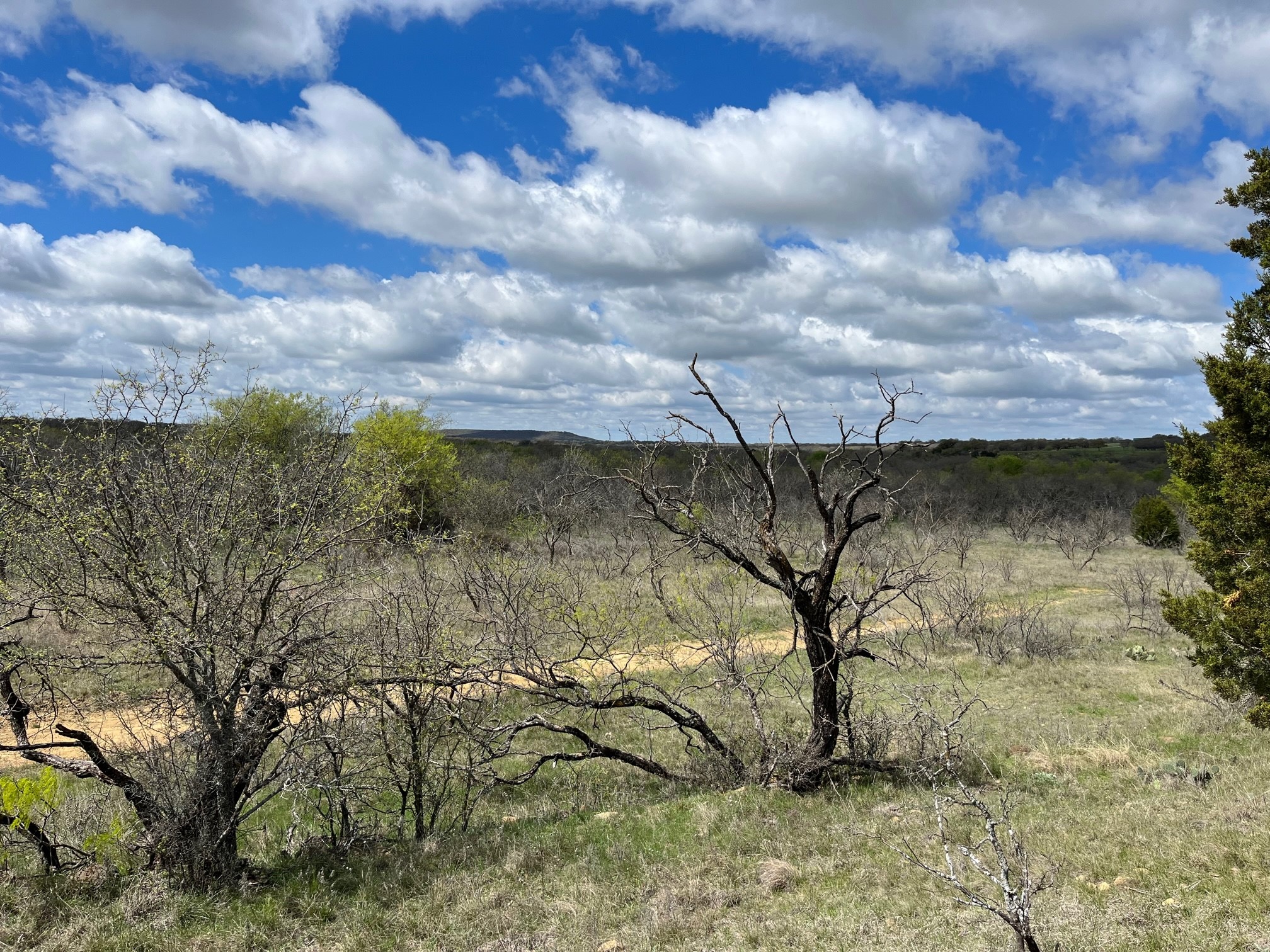 E 17 Ac Burwick Road Jacksboro TX 76458