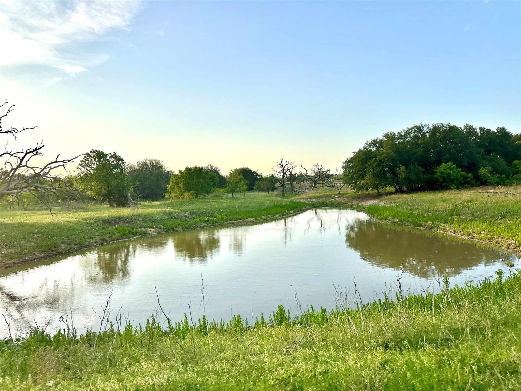 Tbd Fm 3023 S Goldthwaite TX 76844