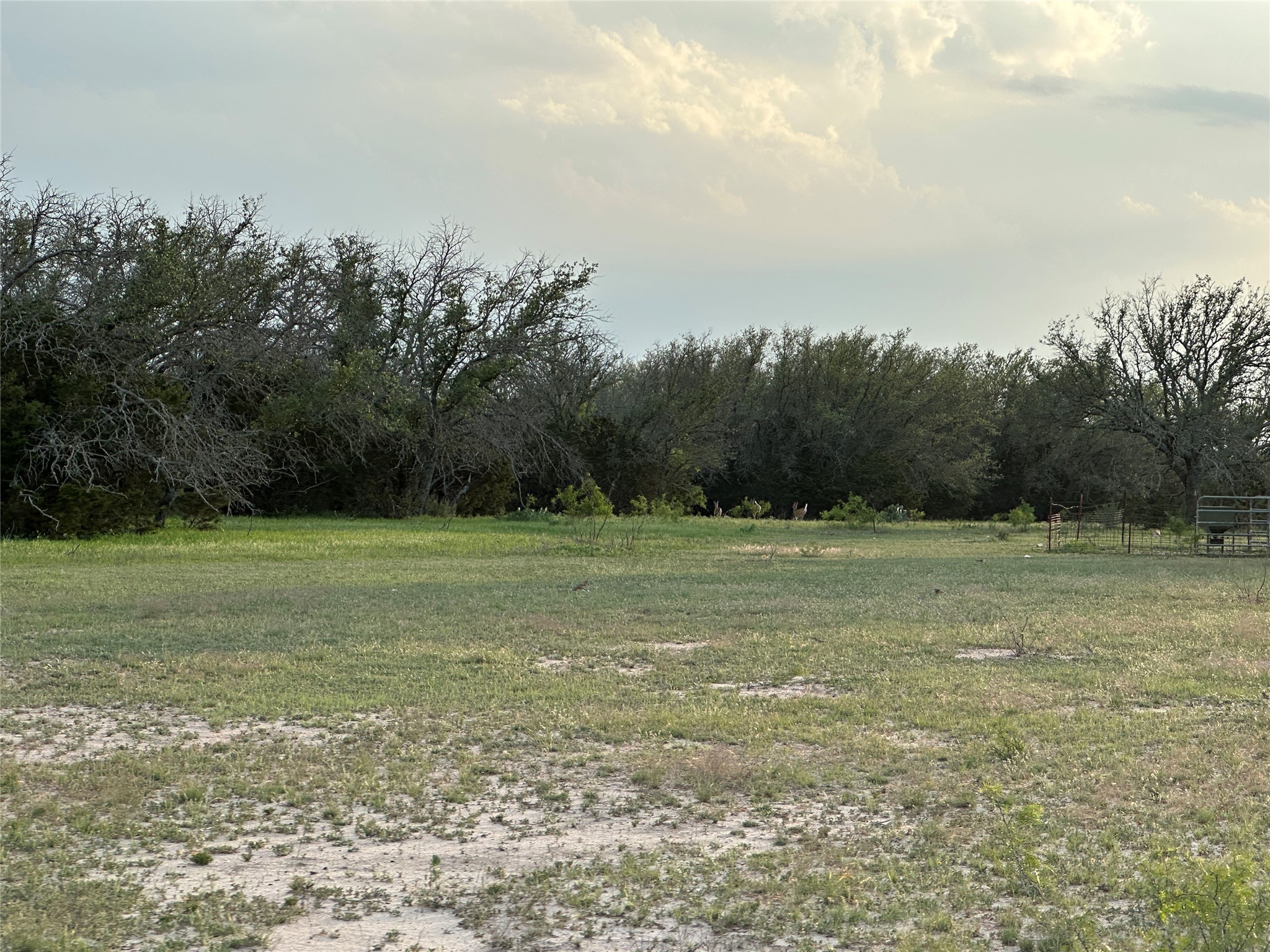 Tbd Fm 3023 S Goldthwaite TX 76844