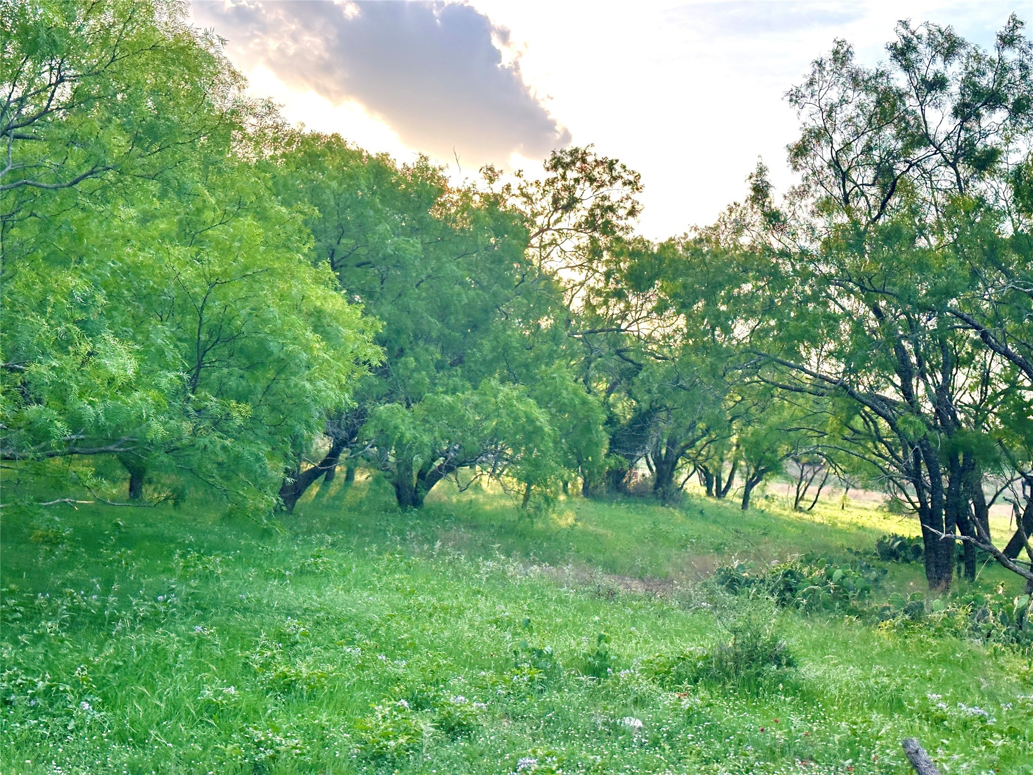 Tbd Fm 3023 S Goldthwaite TX 76844