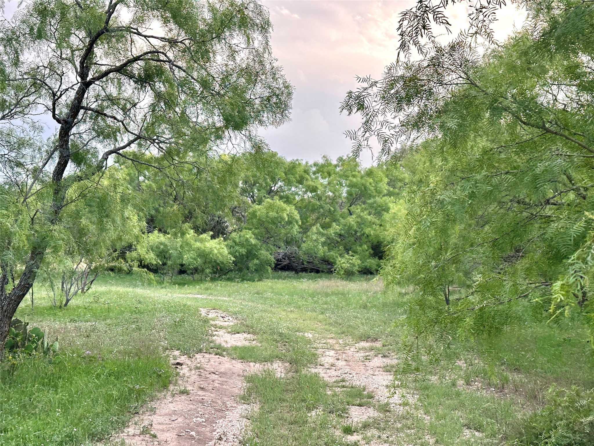 Tbd Fm 3023 S Goldthwaite TX 76844