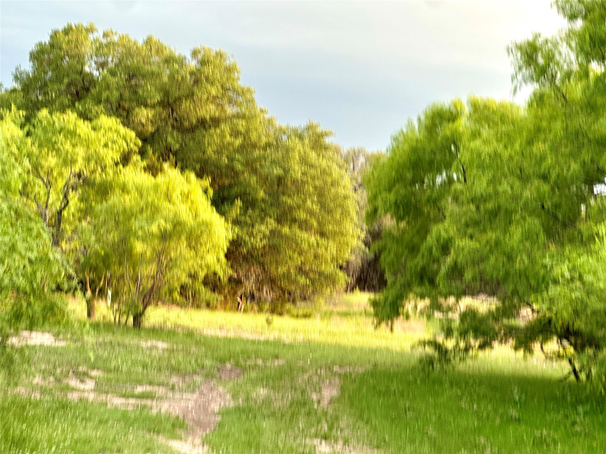 Tbd Fm 3023 S Goldthwaite TX 76844