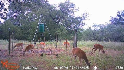 Tbd Fm 3023 S Goldthwaite TX 76844