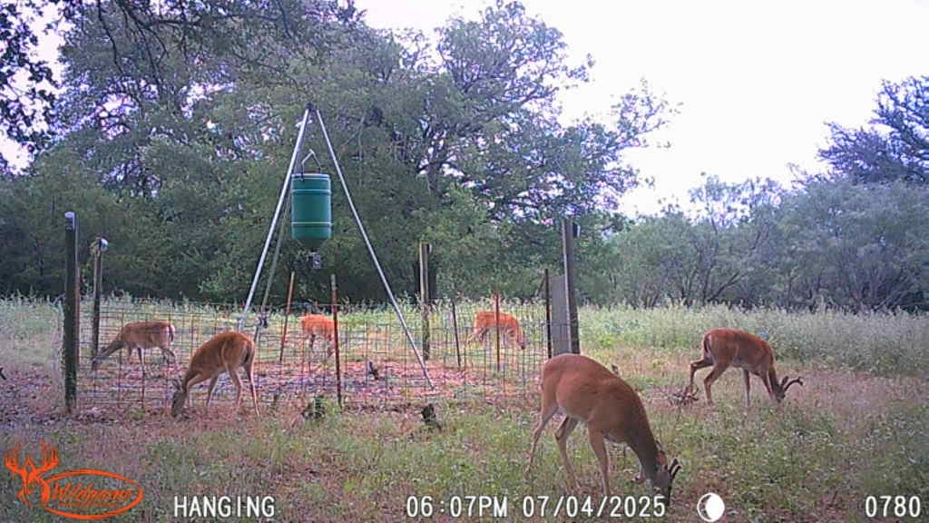 Tbd Fm 3023 S Goldthwaite TX 76844